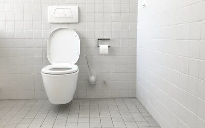 厕所问题:常见问题及解决方法